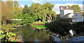 Chilham Mill and Mill Pond