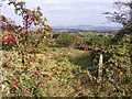 SO9481 : Berry View by Gordon Griffiths