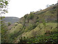 Ledge for former railway in Clydach Gorge