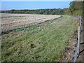 Moulsoe Old Wood