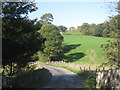 The view from Dibble Bridge