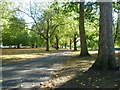 Original carriage drive in Southwark Park