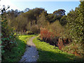 Leesbrook Nature Park