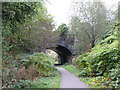 Bridge over former railway near Talywain