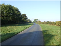 SE5642 : Daw Lane towards Appleton Roebuck by JThomas