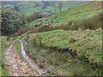 SE6999 : Muddy track down to Dale Head Farm by Pauline E