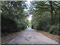 Newstead Abbey - Exiting the Grounds