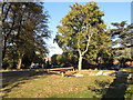 Playground in the Pleasaunce