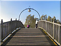SE5901 : Wooden Bridge at Lakeside by David Dixon
