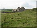 Broken barn on Pittlemere Lane