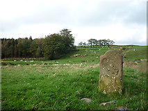 SD5553 : Carved stone waymarker on the Wyre Way by Karl and Ali