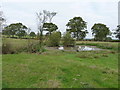 Shallow pool west of Red House Farm