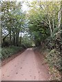 Minor road passing Way, with overhanging trees