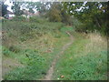 Footpath along the River Mole, West Molesey