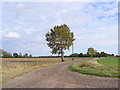 Bridleway to Cratfield Road & Entrance to High House Farm