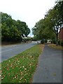 An autumnal Crookhorn Lane