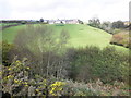 Hillside, below Cloggs Farm