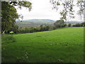 Field north of Bwlch Gwyn Farm