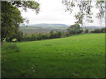 ST0277 : Field north of Bwlch Gwyn Farm by John Light