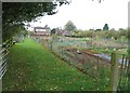 Allotments