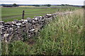 Fields at Washfold Farm