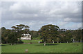 Yealmpton: towards Lyneham House