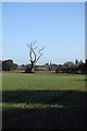 View towards Great Burstead