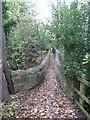 Packhorse Bridge on the Derwent Valley Heritage Way