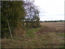 TM3075 : Footpath to Swan Green Lane by Geographer