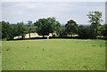 Faint footpath across a field