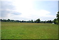 Farmland pasture south of Ewhurst Place