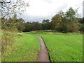 Foot path, Birchwood Brook Park