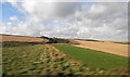 Farmland adjacent to the railway line north of Berwick