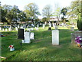 An autumnal Kingston Cemetery (16)