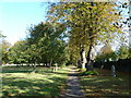 An autumnal Kingston Cemetery (36)