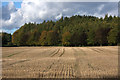 Fields and woodland north of Spittalfield