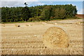 Barley stubble, Lethendy