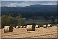 Barley stubble, Lethendy