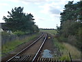 Track near level crossing on Dullingham Road, Newmarket