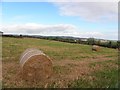 Ballyhanwood Townland