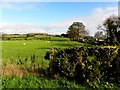 Ballymaglaff Townland