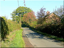 SO6538 : Lane at Birchall by Jonathan Billinger