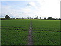 Footpath, Davenham