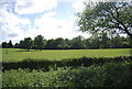 Farmland by the Downs Link