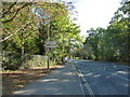 Jogger in Chestnut Avenue