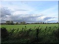 Field north of Hobbs Hill Lane