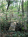 Dilapidated footbridge over ditch, Hasketon