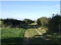 SK7453 : Farm track (footpath) off Staythorpe Road by JThomas