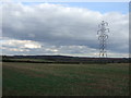 Farmland off Hockerton Road