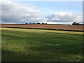 Farmland off Normanton Road